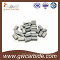 Tungsten Carbide Brazed Tips/Inserts Used for Metal